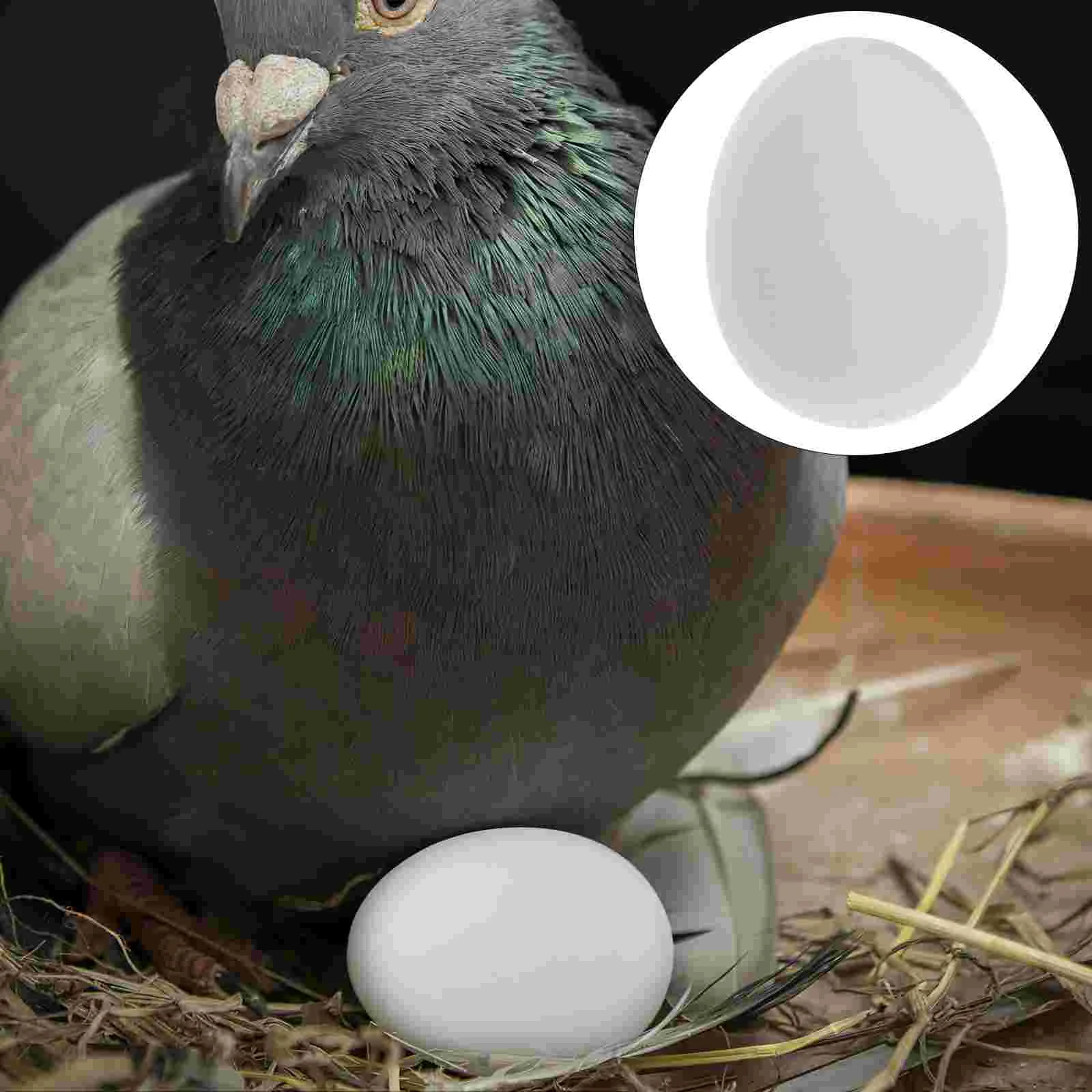 20 Pcs Fake Eggs Soothing Pigeons and Raising Supplies Nest Bowl Plastic Quail Cartons Prop