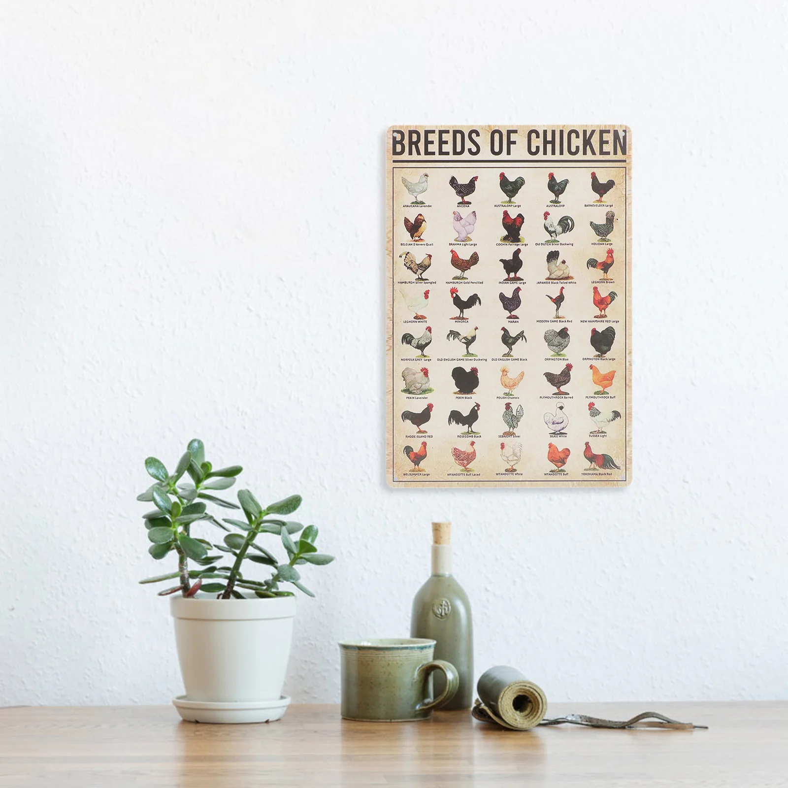 

Wall Craft Decor Chicken Knowledge Poster Metal Craft Sign Vintage Craft Knowledge Sign