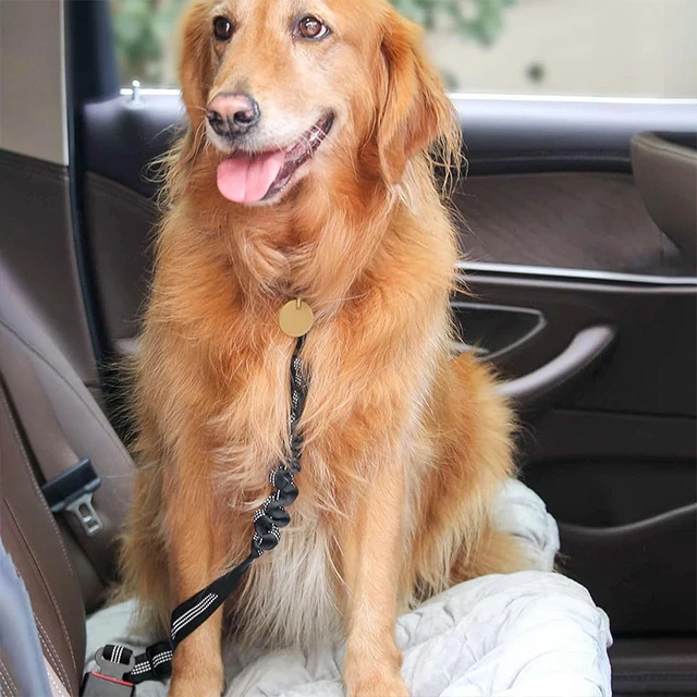 Adjustable Dog Car Safety Belt Elastic Nylon Seat Belt Anti-Shock Harness Lead Restraint Seatbelt Pet Cat Dog Safety Supplies 5