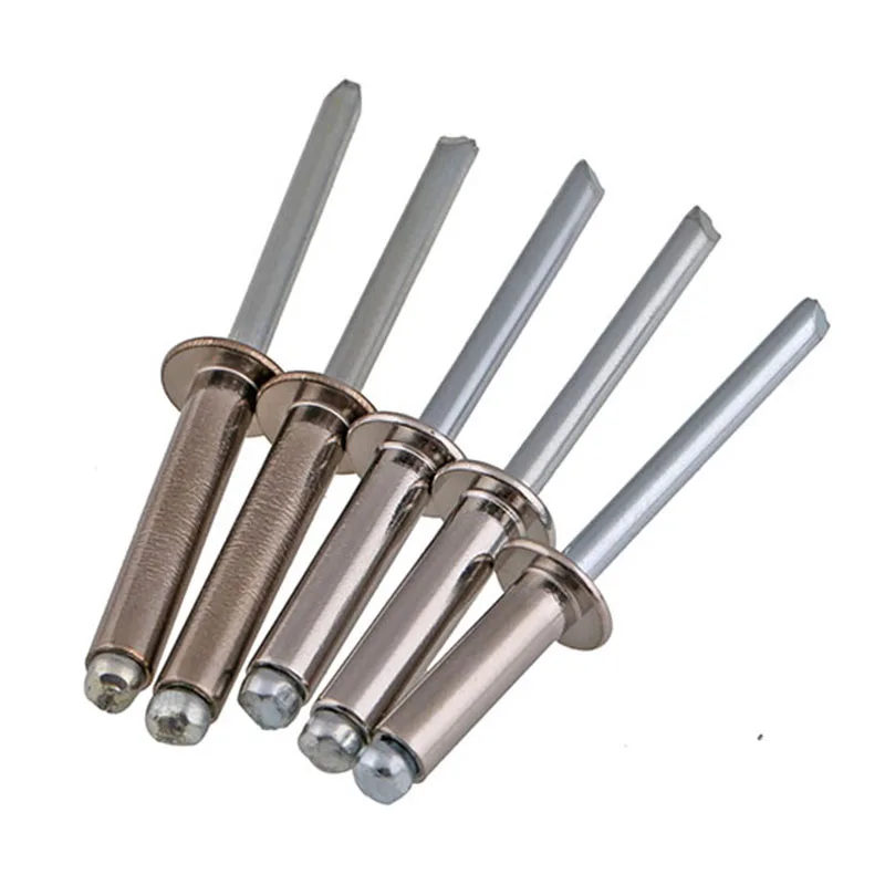 304 Stainless Steel Round Head Pop Open Hollow Blind Rivets Bolt Dropper Self-plugging Rivet Decoration Nail Rebite Blindniete