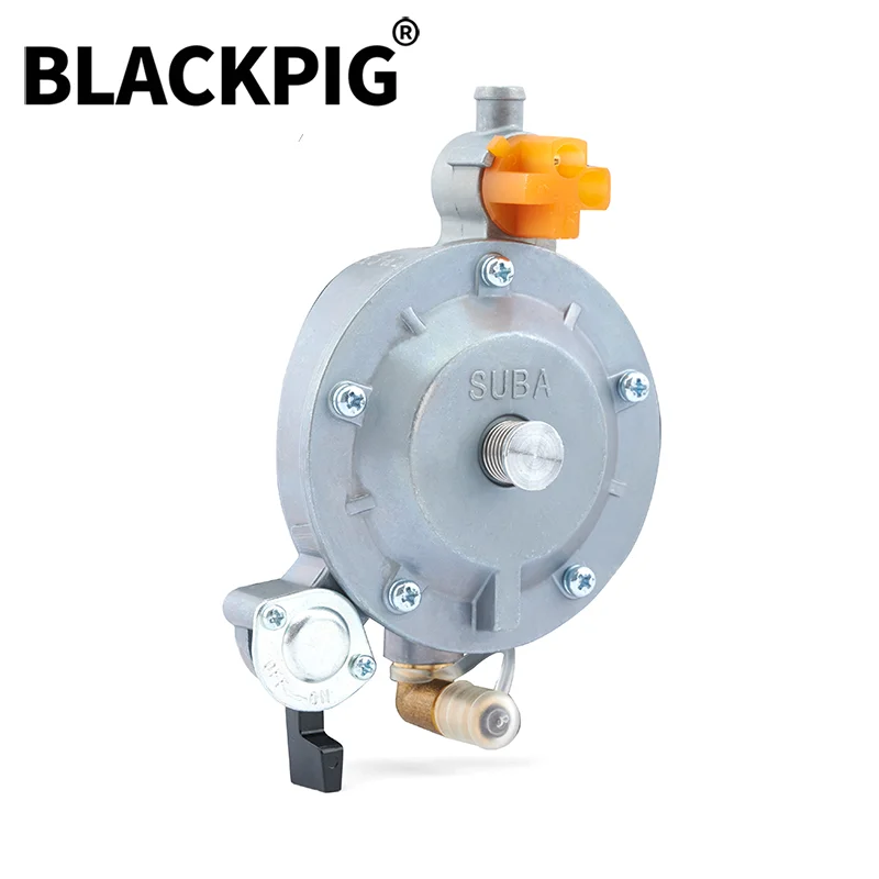 GT241 154F Engine LPG Dual Fuel Carburetor Reducer Assy Gasoline Generator Parts