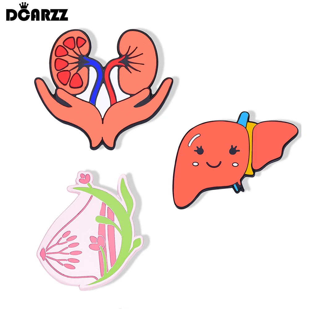 

DCARZZ Anatomy Lovely Liver Kidney Breast Enamel Brooch Pins Medical Lapel Backpack Visceral Badge Jewelry for Doctors Nurses