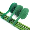100m-50rolls