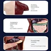 3D Human Anatomy Organ Teaching Aids Torso Model Simulation Human Body Model Set Children Early Learning Educational Toys 6
