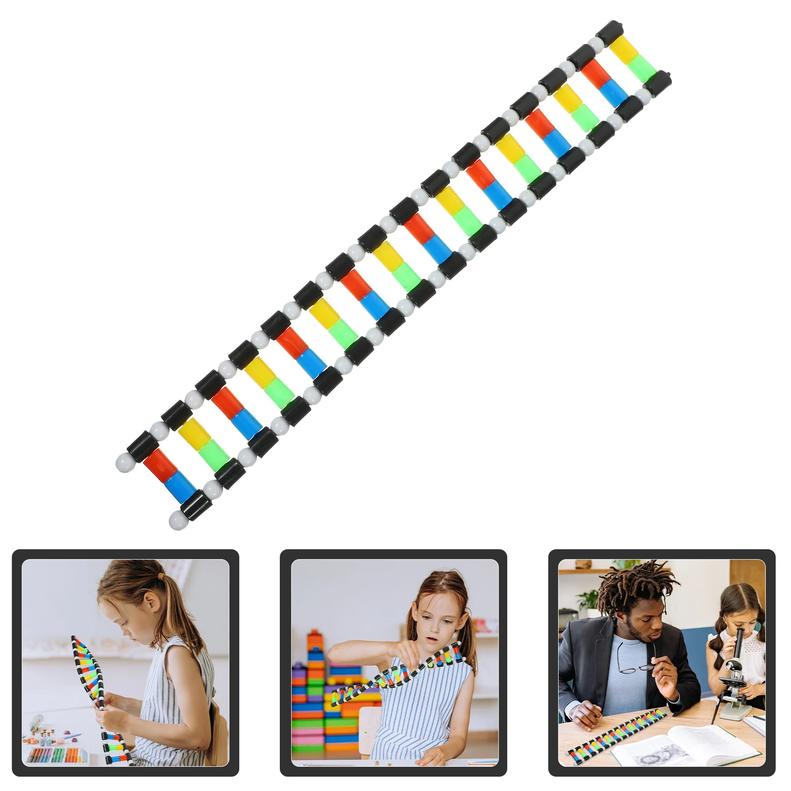 

Dna Structure Scientist Double Helix Model Science Classroom Decor Biology Gifts Spiral Plastic