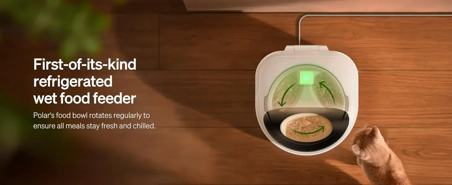automatic cat feeder wet food
