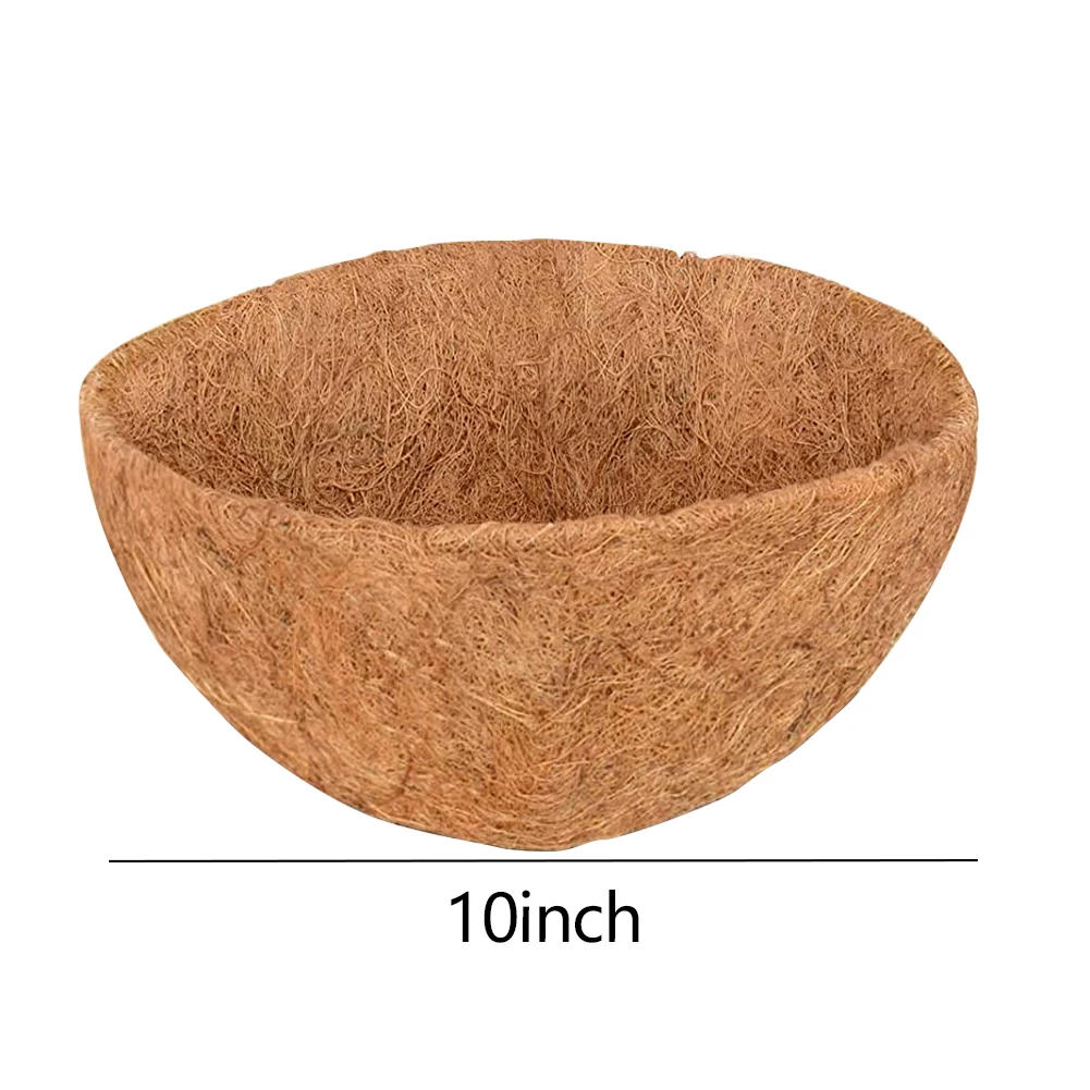 10Inch  25.5CM
