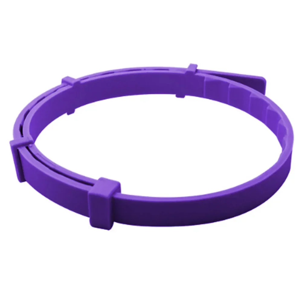 Purple (in opp bag)