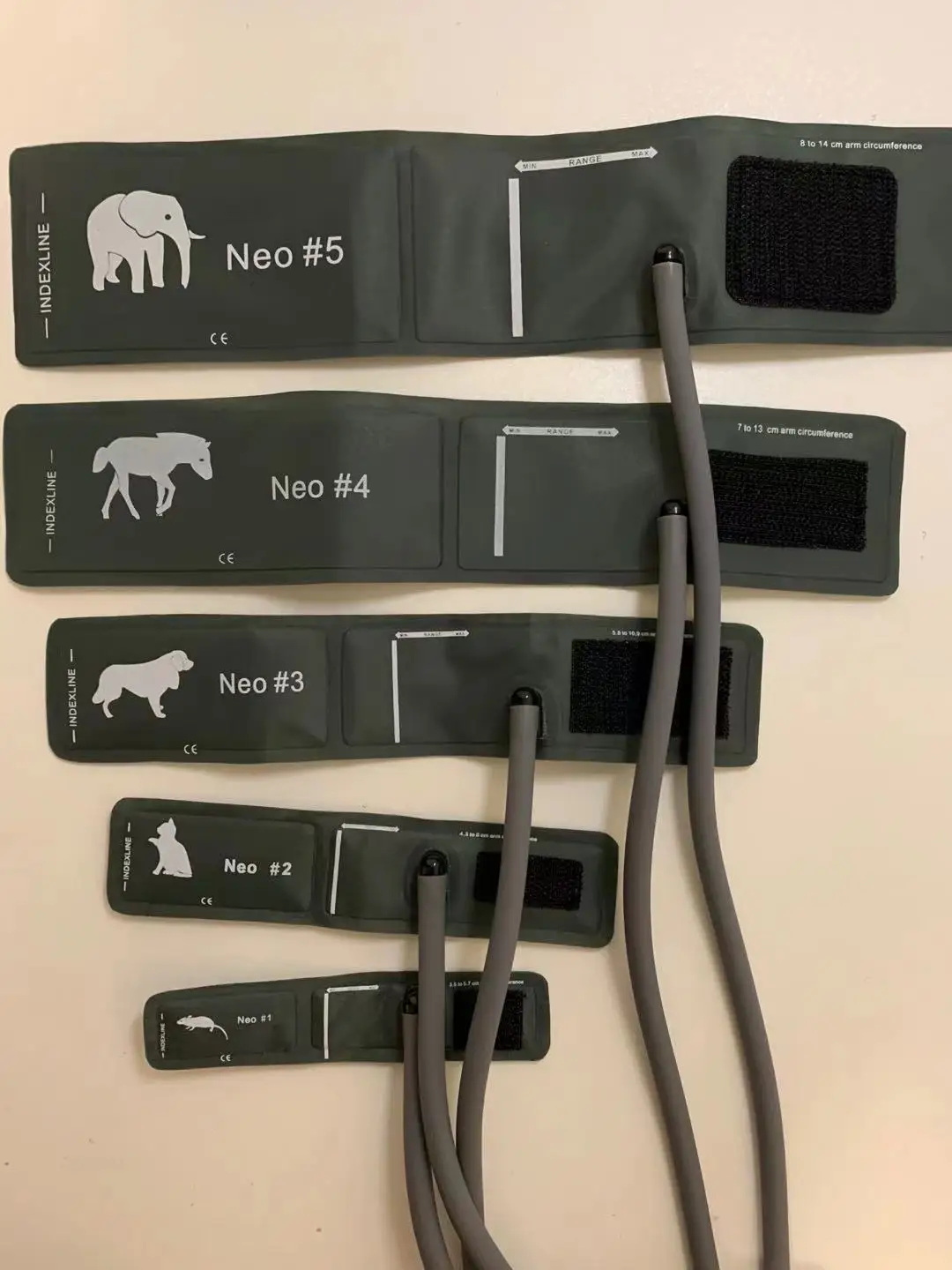 Slide image 2b6a143517d3422e9daf8216eb3a149d