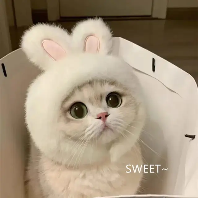 Pet Head Cover Panda Little Rabbit Little Bear Pet Hat Starfish Snapper Chicken Shaped Hat Teddy Dress Up Costume Pet Head Cover Panda Little Rabbit Little Bear Pet Hat Starfish Snapper Chicken Shaped Hat Teddy Dress Up Costume