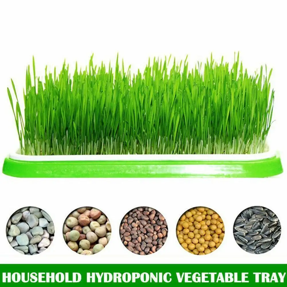 Double Layer Seedling Tray Bean Pea Wheatgrass Seedling Sprout Plate Growing Planting Dishes Nursery Pots Germination Tray ceramic plant pots