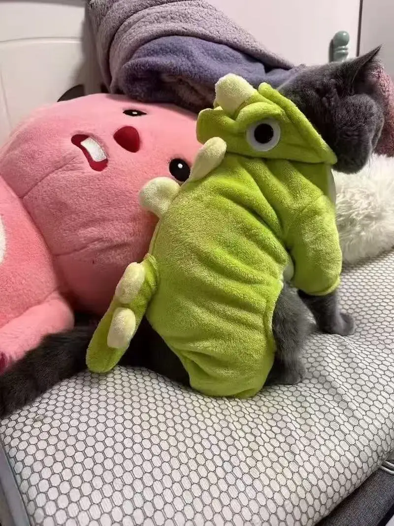 Dinosaur Pet Jumpsuit 6