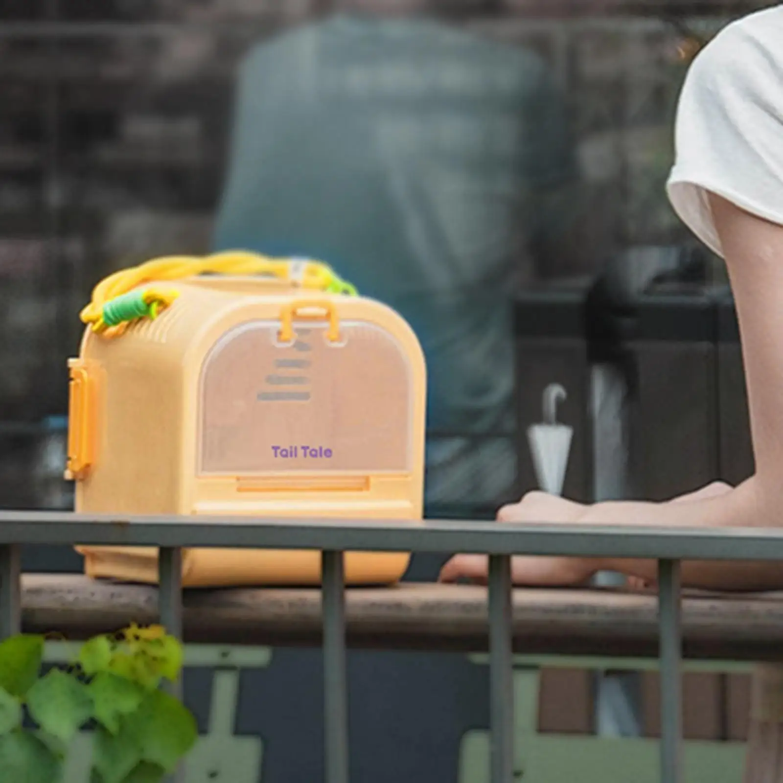 Pet Outgoing Cage Hamster Travel Carrier Hamster Carrier Cage