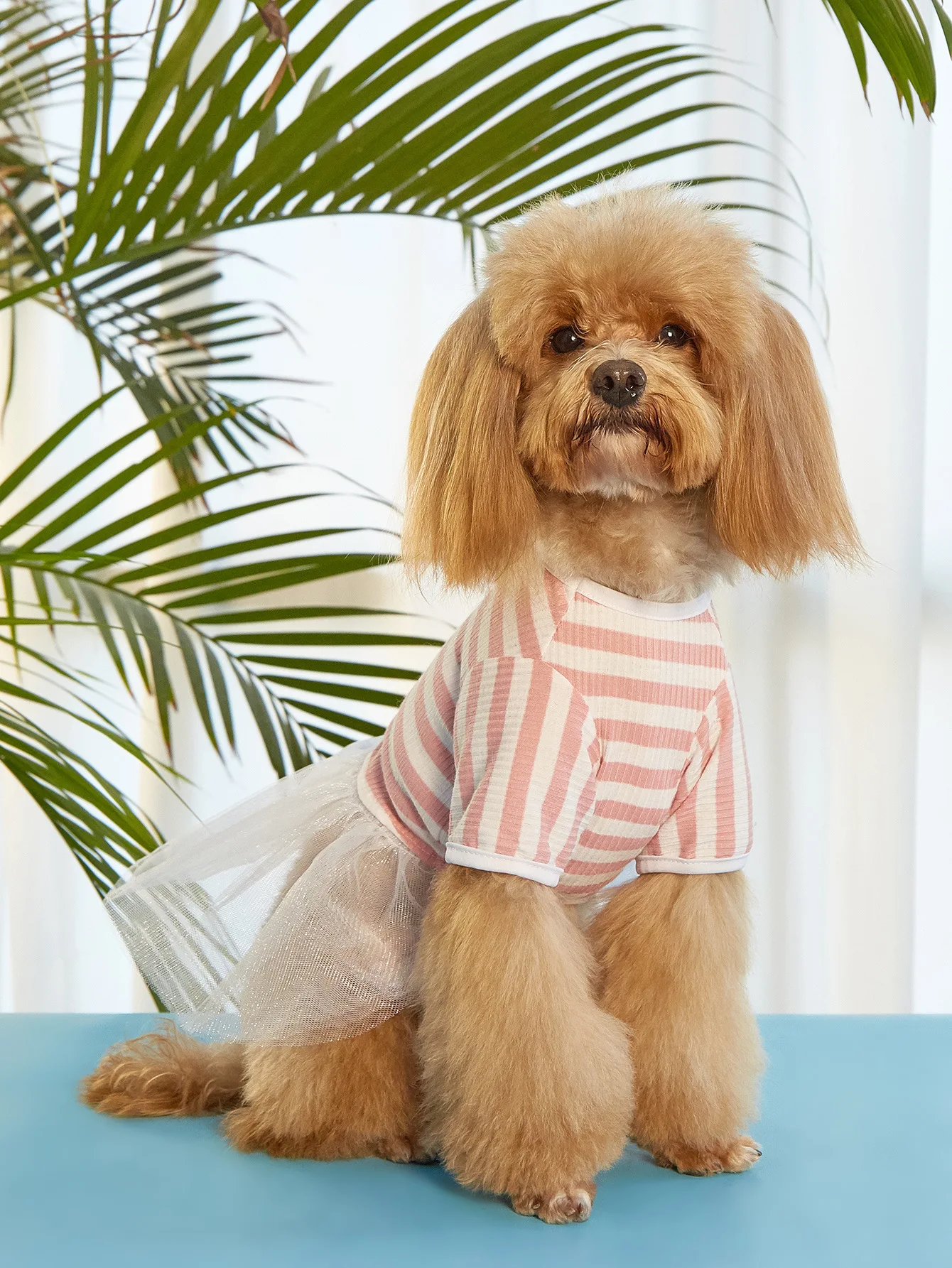 Dog Dress Summer Striped Skirt Dog Dress Puppy Cat Pet Spring and summer skirt pet style cat