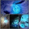 365 UV Veterinary Wood Lamp Pet Fungus Detection Waterproof Flashlight Skin Ultraviolet Light Cat Moss Tinea Light Black Mirror 4