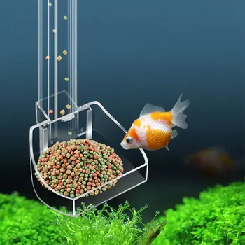 Acrylic Fish Feeding Tube 1