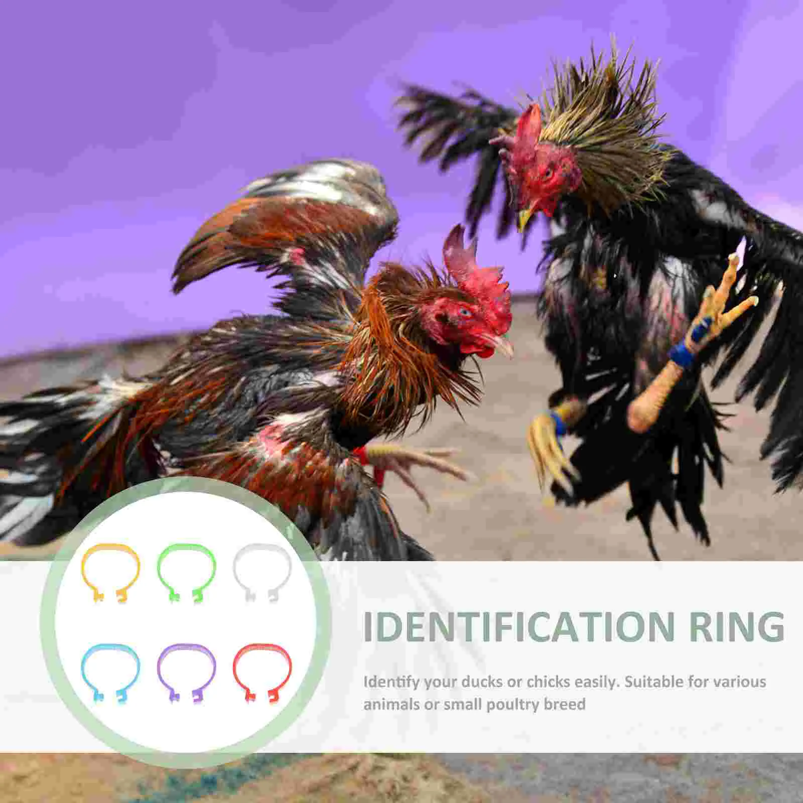 ݷ ŷ  ̽ ,  Ƹ  ĺ,   ѱ ǰ, 120 