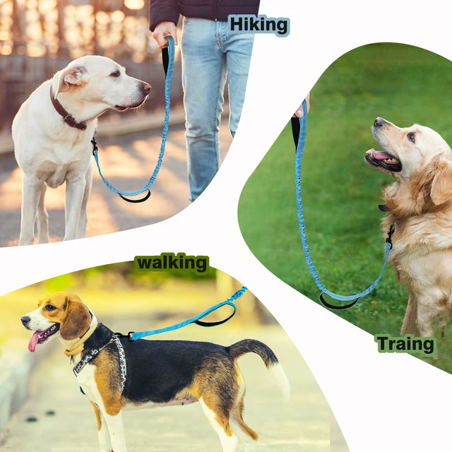 Bungee Dog Leash, Heavy Duty Dog Leash with Shock Absorption, 2 Padded Handles Training Leash, Improved Dog Safety and Comfort 6