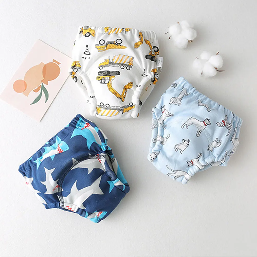 Boys Potty Training Pants 2