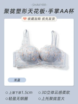 gray-blue-bra