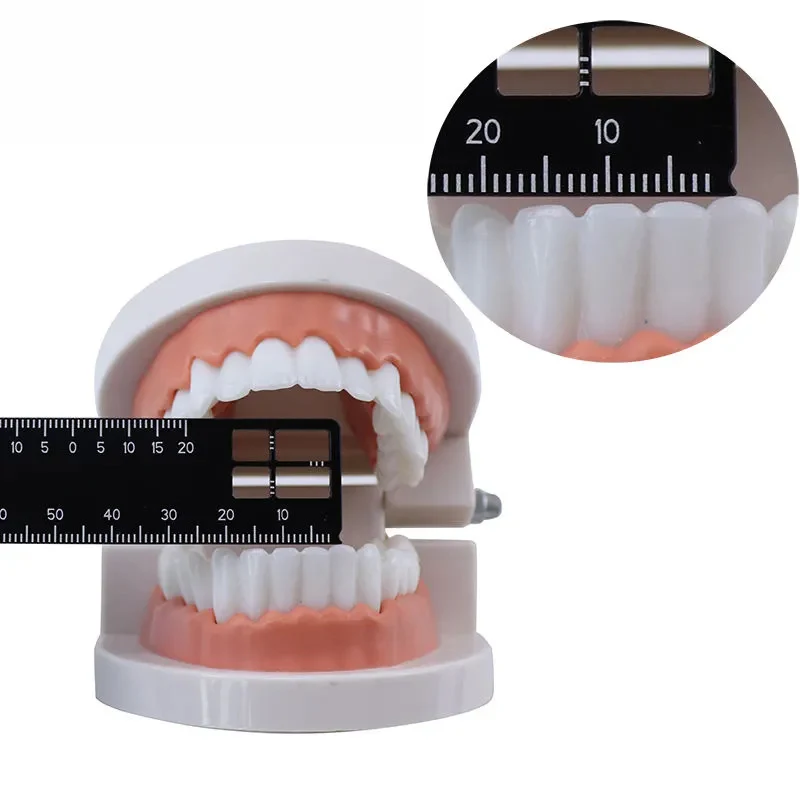 DentalPrecisionMeasuringRulerMedicalToolSpanMeasureScale