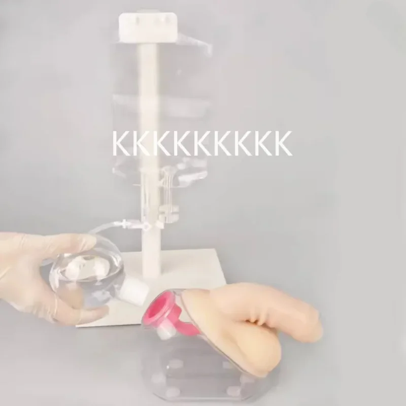 Urethral Catheterization Training Model 6