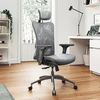 M57 Ergonomic Office Chair with 3 Way Armrests Lumbar Support and Adjustable Headrest High Back Tilt Function Grey 2