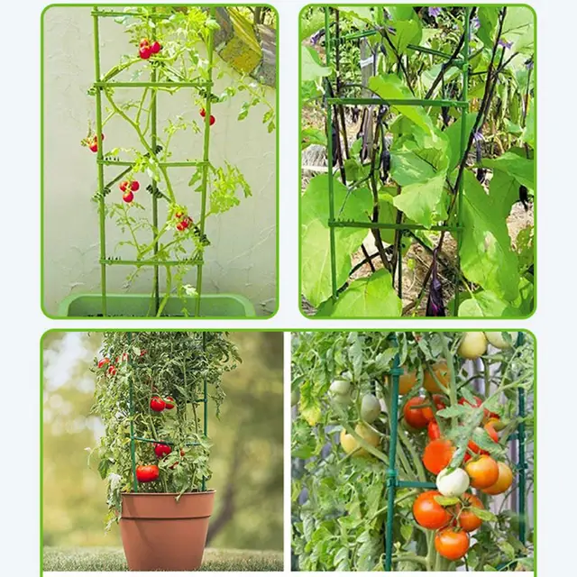 1 Beállított Gyakorlati Növényi Tartó Állvány Tartós Növénytámasz Keret Elleni Küzdelem Paradicsom Támogató Széles Alkalmazások - Image 2
