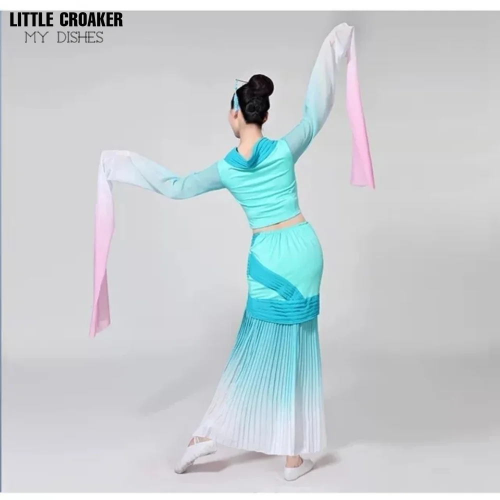 New Female Water Sleeves Classical Dance Suit Original Caiwei Jinghong Dance Hanfu Flowing Sleeves Performance Costume Woman