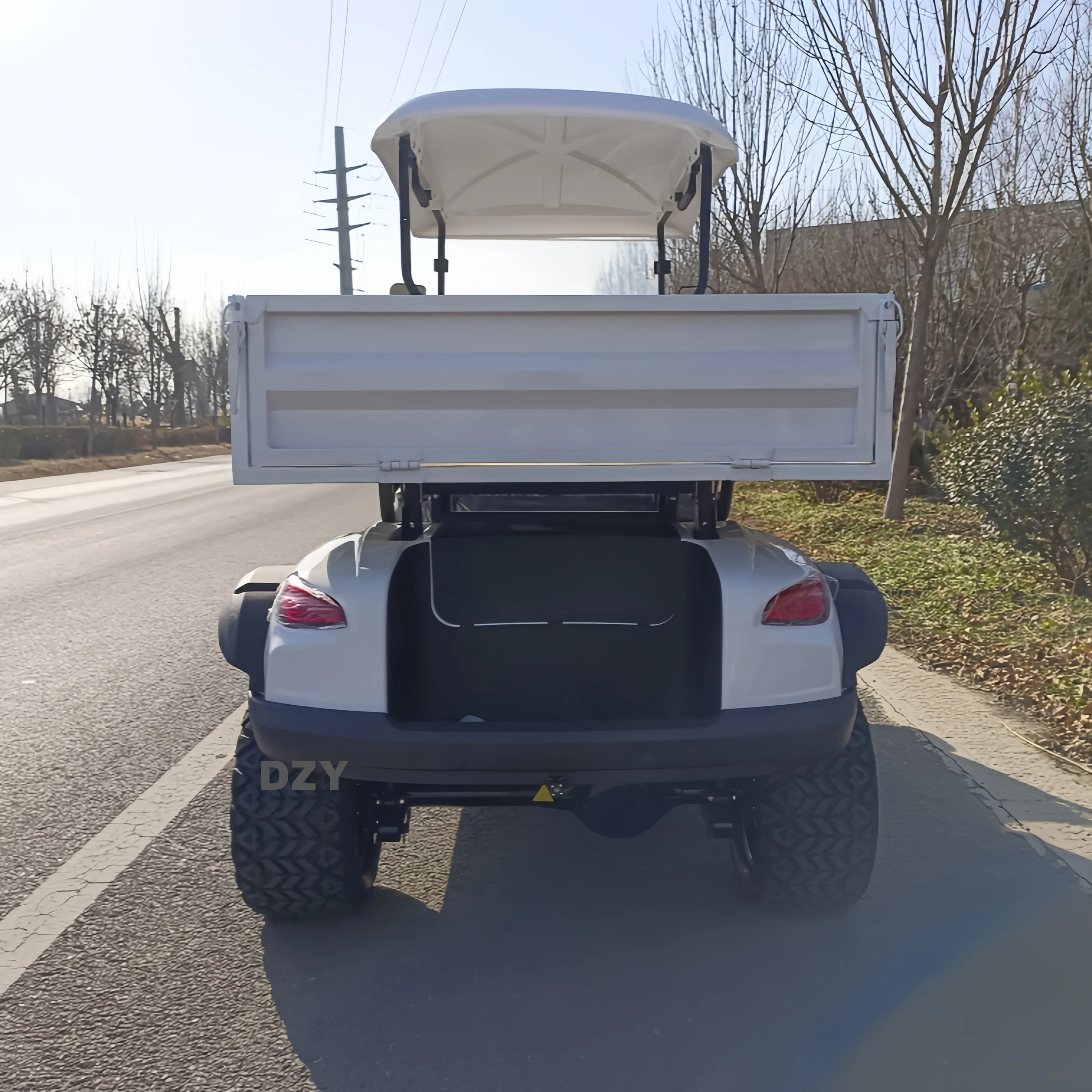Customizable 6-Seater Portable Electric Golf Buggy Afable Hunting Style Cart 72V 48V Battery EEC Certified Club Car