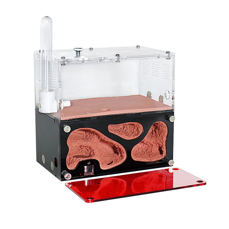 Ant Farm Supplies Ant Farm Insect Observation Box Insect Cage Ant farm acryl with drinker Temperature Control Concrete Ant Nest Infinite Expansion Insect House Colony Drinker Anthill Kit