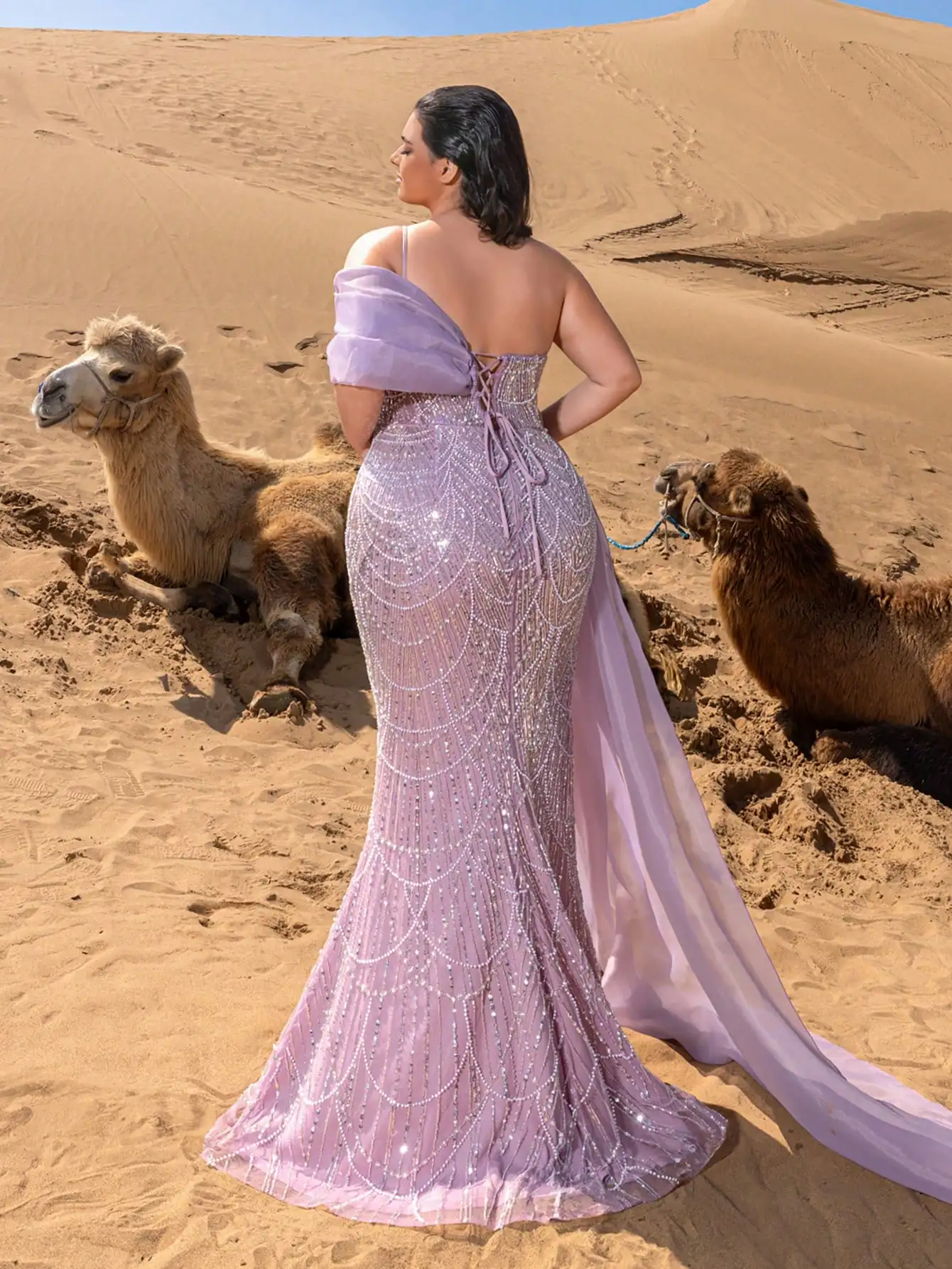 فساتين سهرة حورية البحر مطرزة بمقاس كبير مع خط عنق...