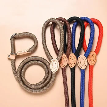 Guinzaglio e Pettorina Regolabili per Cani, in Nylon, Resistente, Leggero, Accessori per Cani e Gatti
