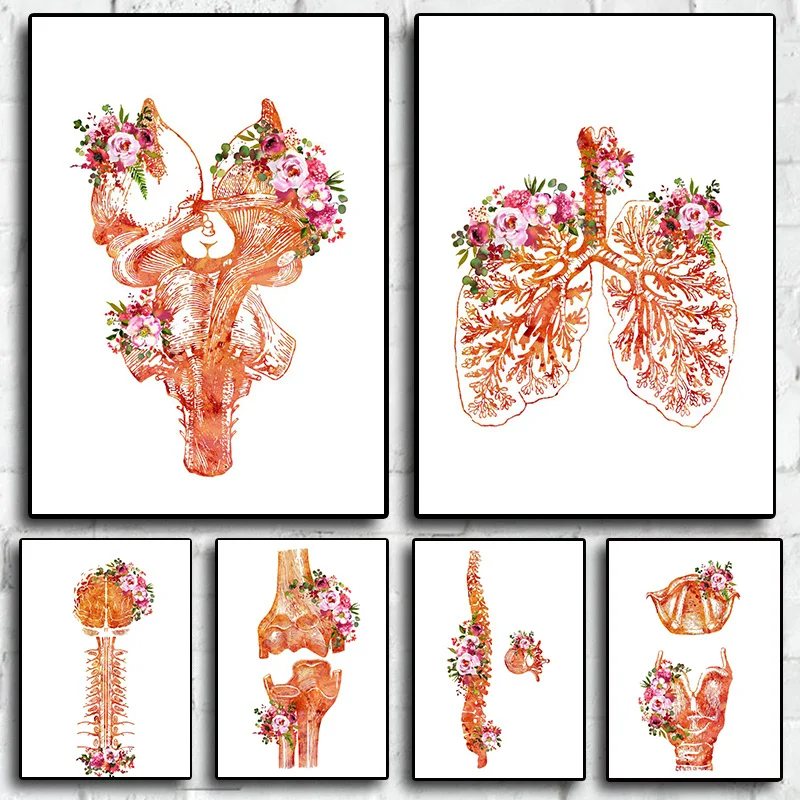 

Человеческая структура, эстетика, акварель, цветок, анатомический скелет, холст, живопись, настенная роспись, декор для домашней комнаты