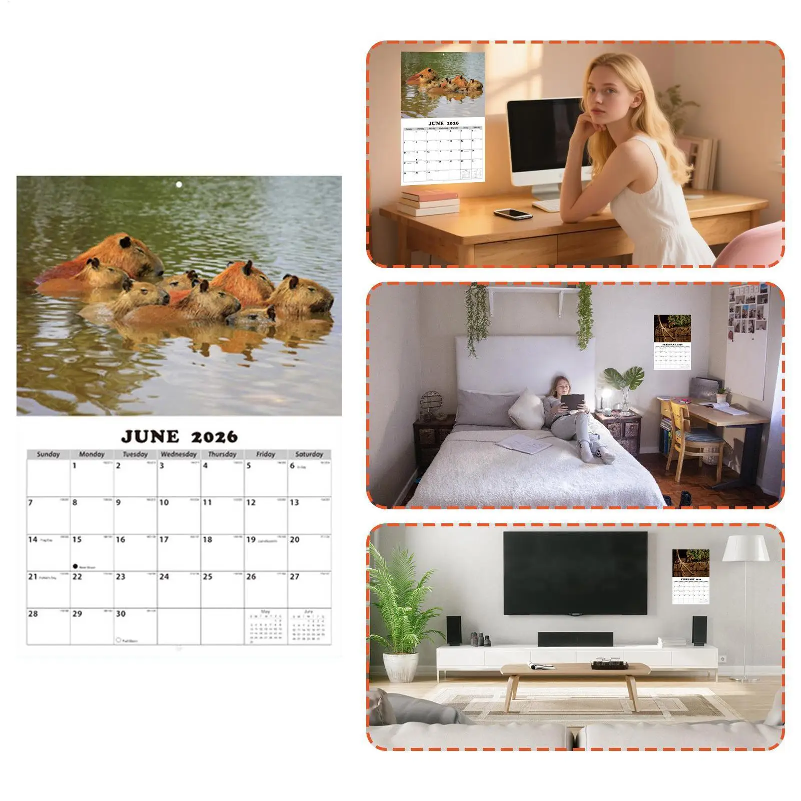 Calendar For Wall English Schedule Planner Wall Mount Month Calendar For Students Kids Teens Adults Teachers Dining Room