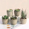 Mini Artificial Aloe Plants Bonsai Small Simulated Tree Pot Plants Fake Flowers Office Table Potted Ornaments Home Garden Decor 1