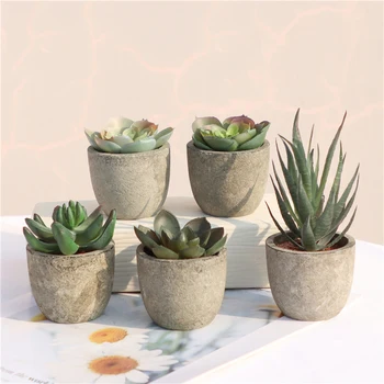 Mini piante artificiali di aloe Bonsai Piccoli piante in vaso di albero simulato Fiori finti Tavolo da ufficio Ornamenti in vaso Decorazioni per il giardino di casa 1