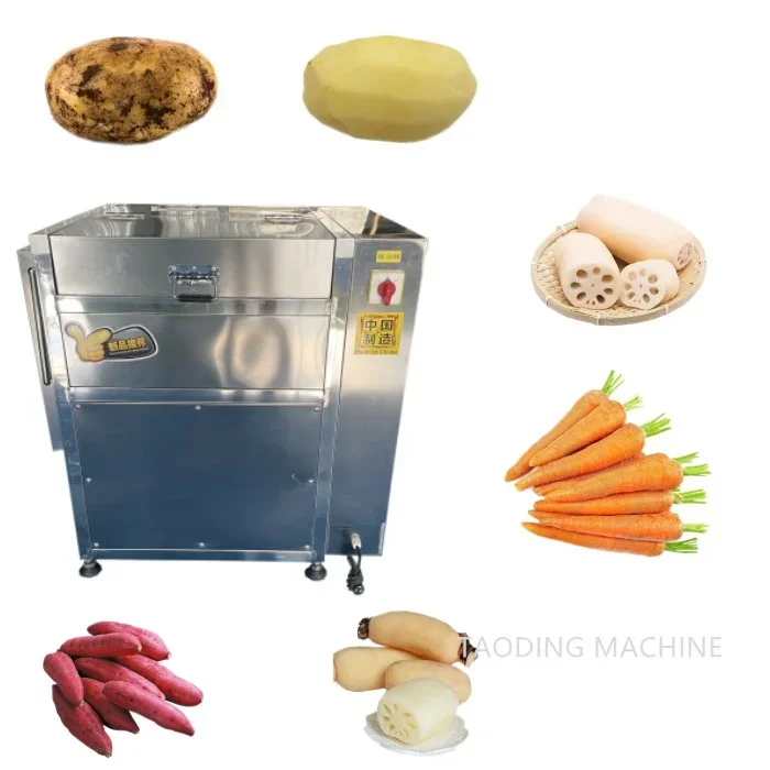 Brush Roller Carrot Cassava Cleaning Fruit Vegetable Washing Machine Washer Electric Ginger Potato Washing And Peeling Machine 3