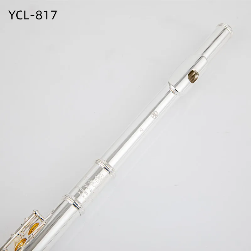 Alpine フルート Amazon.com: Flute Woodwind Instruments Japan Flute Silver