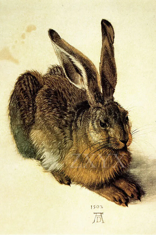 

Albreзаписи Durer художественный плакат печать молодой заяц