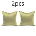 Fruit green 2pcs