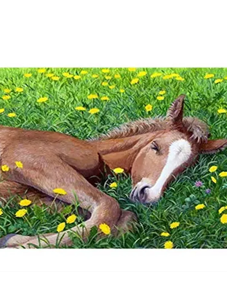 GATYZTORY DIY Paint By Number For Adult Kit Oil Painting Horse Coloring By Numbers On Canvas Handpainted Craft Home Decor Gi