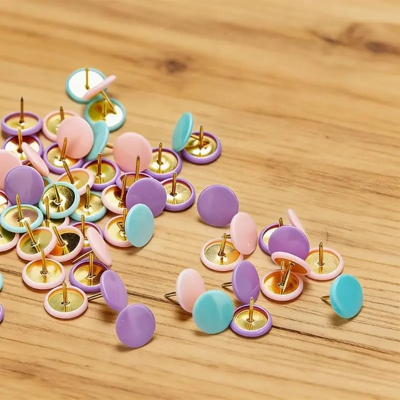 플라스틱 헤드가 있는 푸시 핀 팩 지도 압정 드로잉 핀 지도 엄지 압정 핀