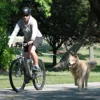 Dog Bicycle Leash Dog Running Walking Leash Removable Elastic Dog Bicycle Leash Metal Extension Elastic Ropes Towing Pet Dogs