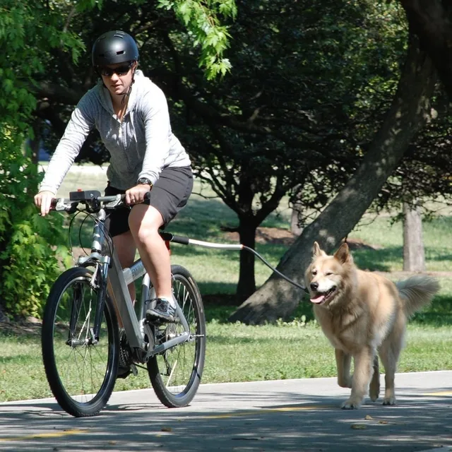 Dog Bicycle Leash Dog Running Walking Leash Removable Elastic Dog Bicycle Leash Metal Extension Elastic Ropes Towing Pet Dogs Dog Bicycle Leash Dog Running Walking Leash Removable Elastic Dog Bicycle Leash Metal Extension Elastic Ropes Towing Pet Dogs