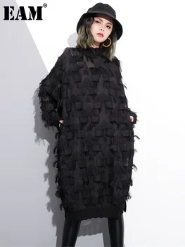 [EAM] 2026 New Spring Autumn Stand Collar Long Sleeve Perspective Black Loose Tassels Big Size Dress Women Fashion Tide JI780 1