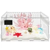Reptiles Feeding Box Acrylic Terrariums Container for Spiders Lizards Small Pet Mini Habitat 2 Size 4