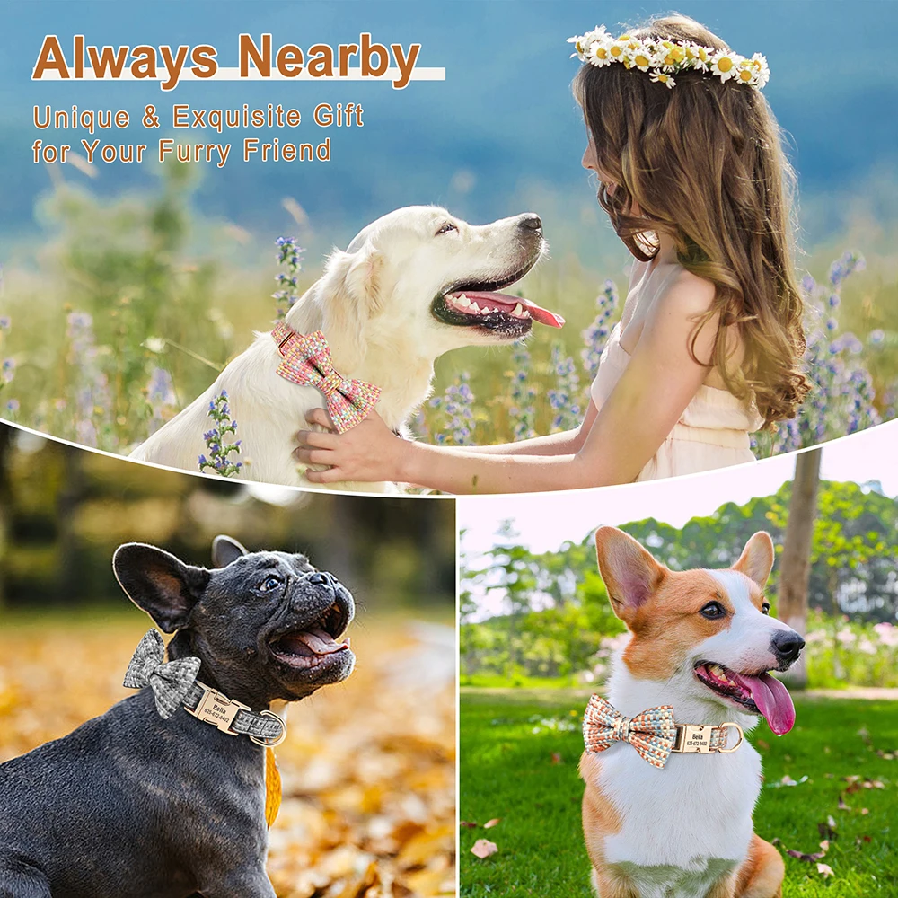Personalized Dog ID Collar Cute Bowknot Pet Buckle Collars Anti-lost for Small Medium Large Dogs Accessories Free Engraved
