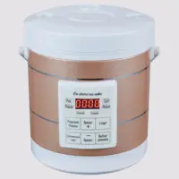 Mini Rice Cooker 12-24V 220V Multifunction Electric Steamer home Appliance Portable for Camping RV Camper Gold Russian Menu 1