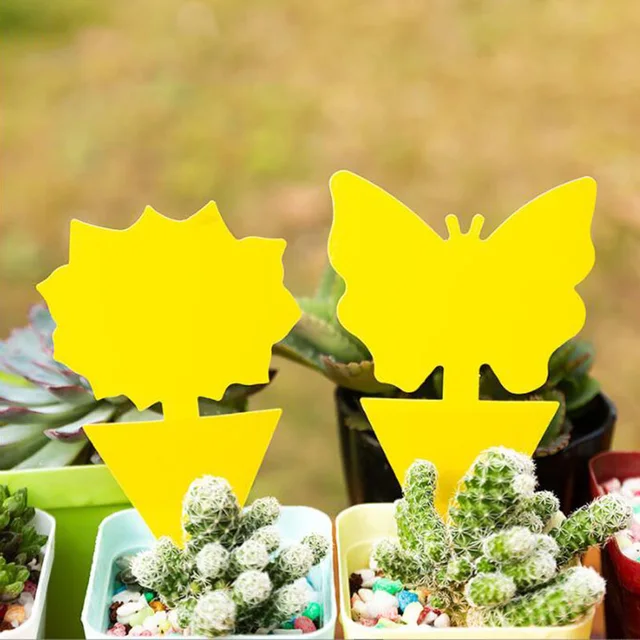 5x 강력한 끈끈한 트랩으로 해충을 襖파하고 집을 곤충 없는 지대로 만드십시오.